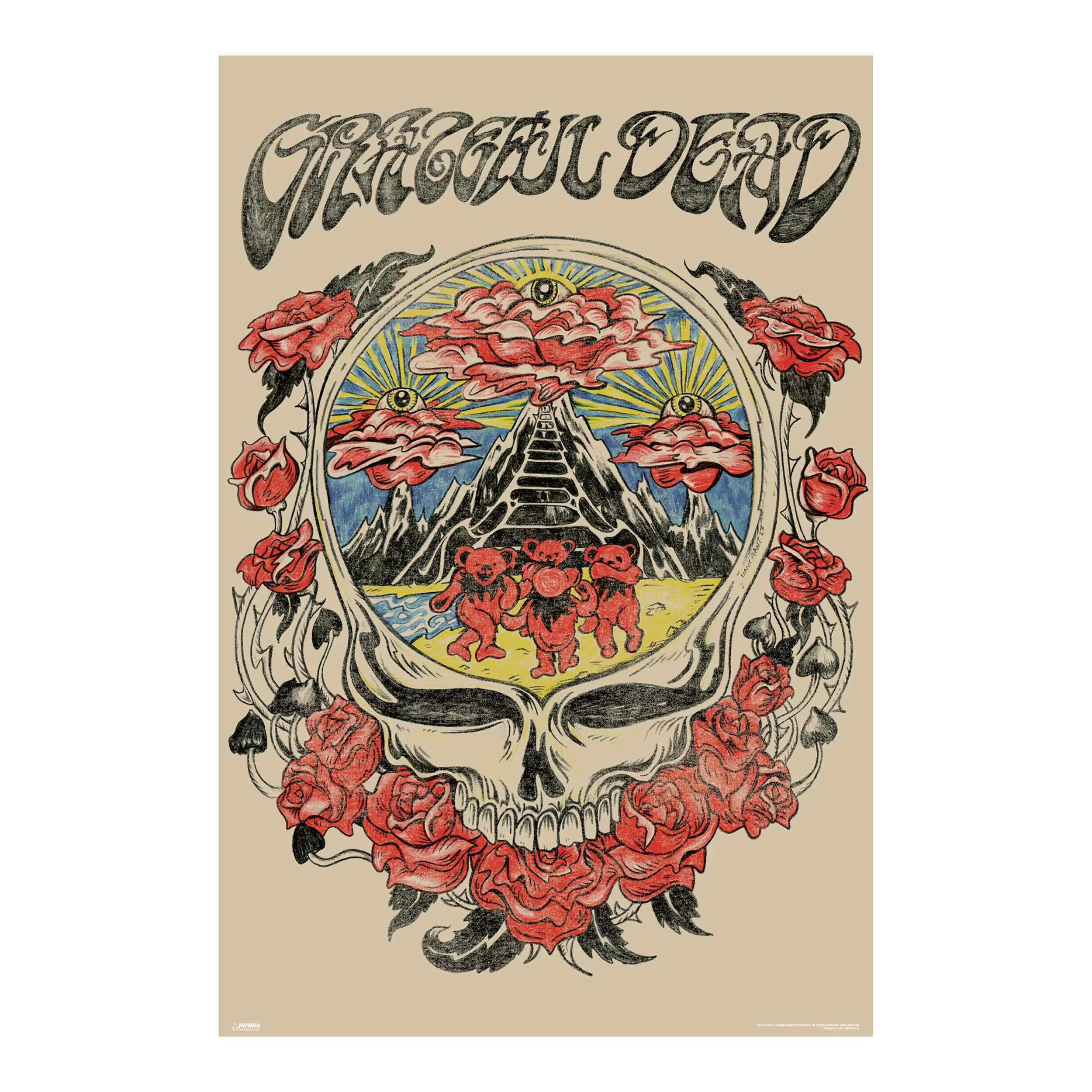 Grateful Dead - Skull Vision - 24x36 Unframed Poster