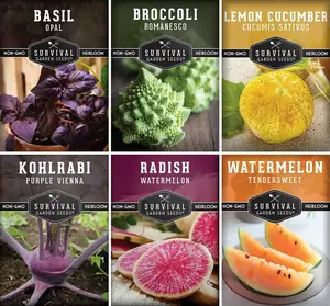 Rare Exotic Vegetable & Fruit Seeds Variety Pack, 6 Heirloom Seed Varieties Including Romanesco, Lemon Cucumber, Watermelon Radish & More for Home Garden Planting
