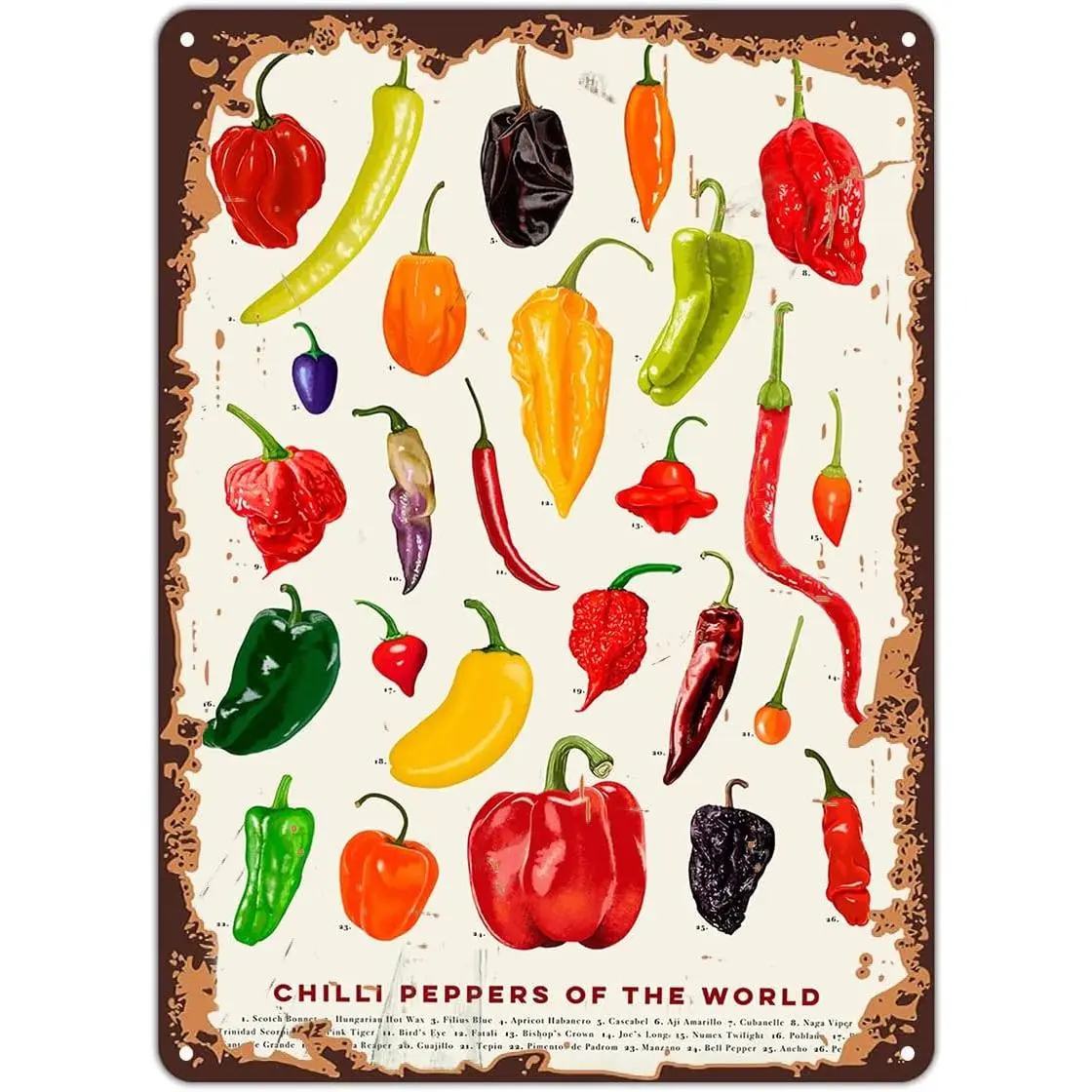Metal Poster Plaque,Chilli Peppers of The World - Chilli Peppers Guide, Chili Art,Hot Chilli Poster,Food Art,Hot Chillies, Kitchen Art,BarTavernPubClub Man Cave Wall Decor 5.5x8 Inch