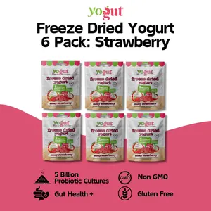 YoGut Freeze Dried Yogurt 6 Pack - Strawberry