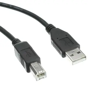 Cable Wholesale  Black USB 2.0 Printer & Device Cable,Type A Male to Type B Male - 1 ft.