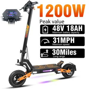 1200W Brushless Motor, 48V 18AH, 11-inch Adult Electric Scooter, Vacuum Tires, Front and Rear Disc Brakes + Shock Absorbers, Foldable, with Cool LED Ambient Light and Display-T9