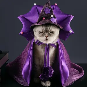 Cat Halloween Orgy Set Dog Domineering Stand-Up Collar Cloak Cat Cat Star Wizard Hat Pet Halloween Cosplay Dress Up Supplies