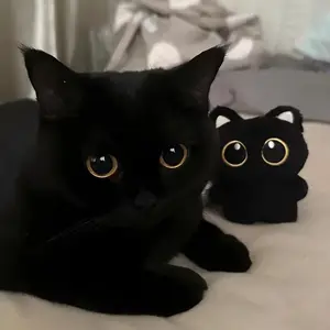 One Adorable Plush Toy of a Black Cat Featuring Expressive Eyes And a Squeaky Mouth - a Soft And Fluffy Pet Toy Designed in Black And White, Battery-Free, Suitable for All Cat Breeds And Small Pets, Perfect for Playful Indoor And Outdoor Activities