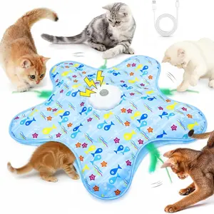 Indoor Cat Interactive Toy, Rechargeable Touch Hidden Feather Wand, Automatic Movement, Realistic Bird Sound, for Bored Cats