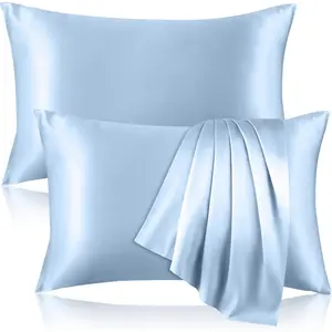 2 Pack  Pure Silk Pillowcase for Hair and , Both Sides Mulberry Silk Pillowcases with  Zipper, Cooling Pillowcase 19 Momme, 600 Thread Silk Pillow Cases Standard Size, Light Blue