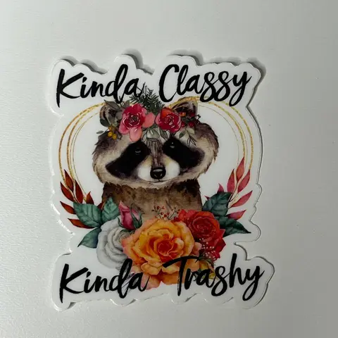 Mental Health/Funny/Snarky Stickers | Waterproof + Weatherproof
