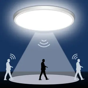 2P/4P modern round ultra-thin charging magnetic ceiling light, Home decoration lamp, black/white 27cm magnetic induction light with remote control suitable for bedroom, living room