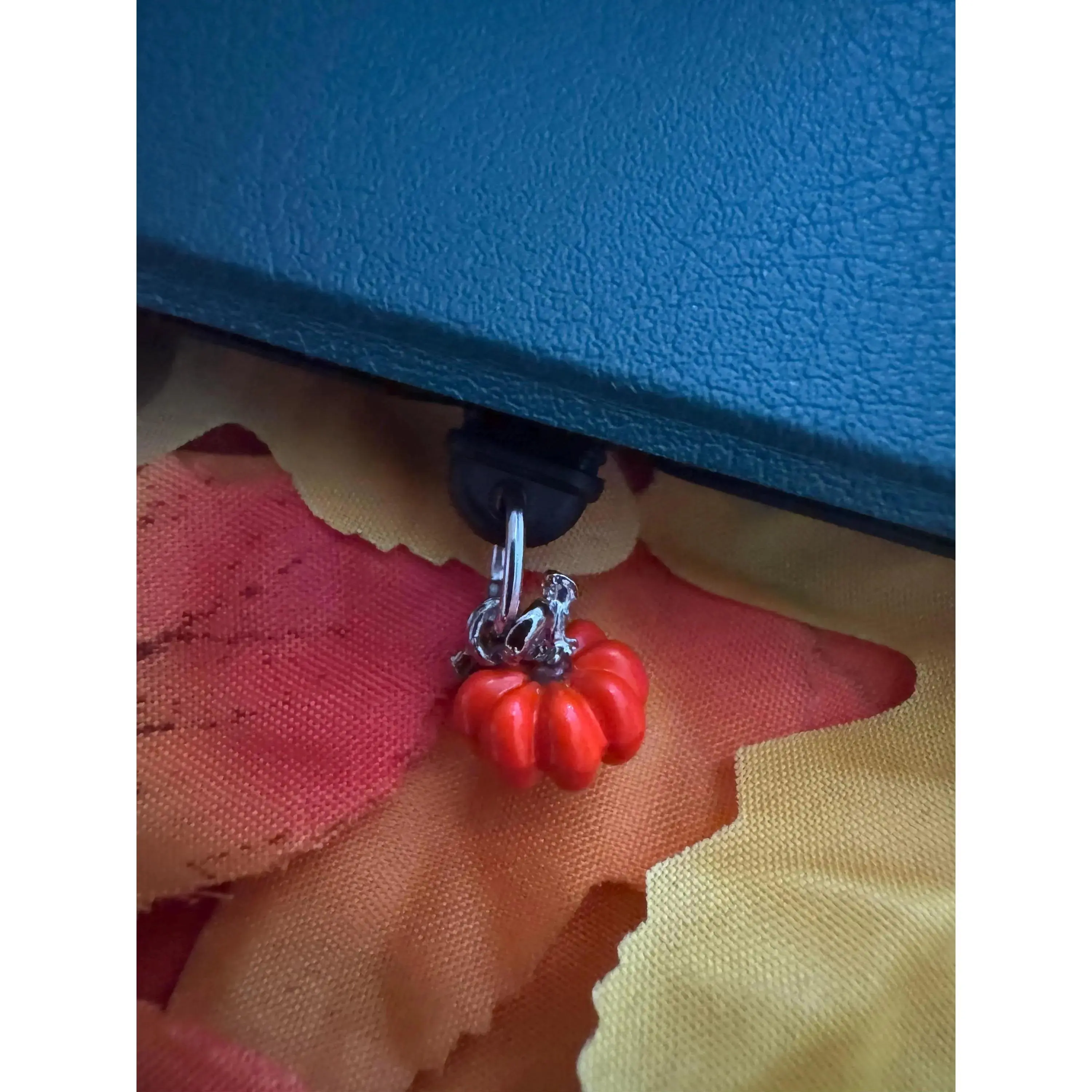 , Fall , E-Reader Accessories, Boox Palma ,  Accessories, Dust Plug kindle charm dust plug