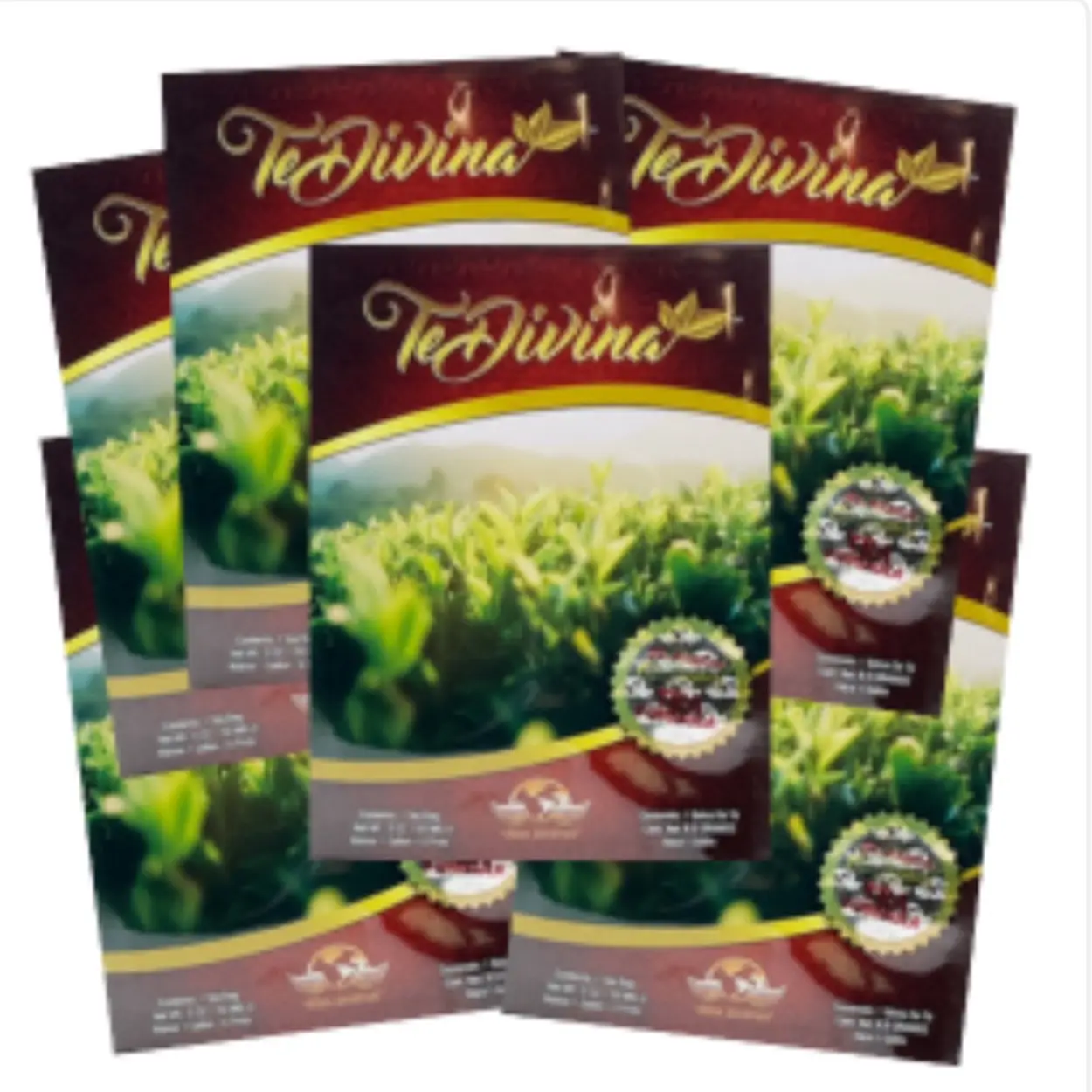 Te Divina - Pack of 4+2 Free Promo, Organic Herbal Tea with Reishi Beverage by Vida Divina