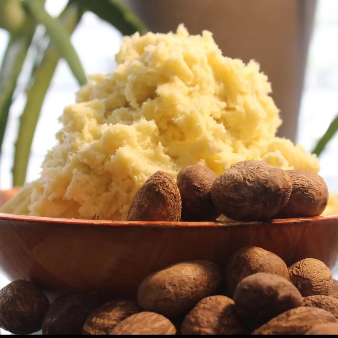 African Shea Butter Unrefined Organic 8oz Antioxidant Moisturizing Vitamin Enriched Body Care Lotion for Skin Repair & Antibacterial Properties CMC Ingredients