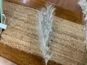 Silver ball pampas grass