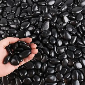 Black Pebbles for  3lb Bulk Bag 0.5"- 1" Aquarium Gravel Decorative Polished Stone  River Rocks for Fish Tank...