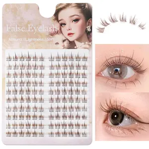 Natural Look Eyelashes Extensions, 1 Box Individual False Eyelashes, Self Grafting DIY Eyelash Extensions, Soft False Eyelashes for Women Eye Makeup Enhancement