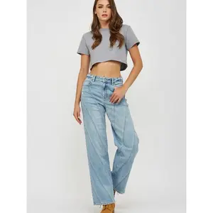 HIDDEN Logan Multi Seam High Rise Dad Jeans