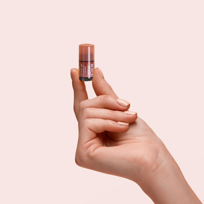 Burt's Bees Bee Mine Mini Lip Balm 3 Pack