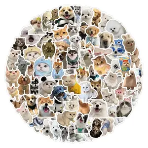 GIFT - RANDOM 5 STICKER