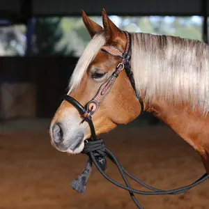 Schneiders Tooled Browband Bosal Set