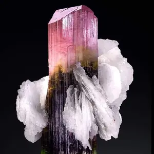 background preload poster image 