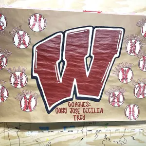 Hand Painted Baseball Season Banner - High-Quality Kraft Paper Material