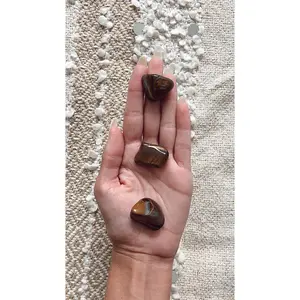 Tigers Eye (Natural Shape - Polished)