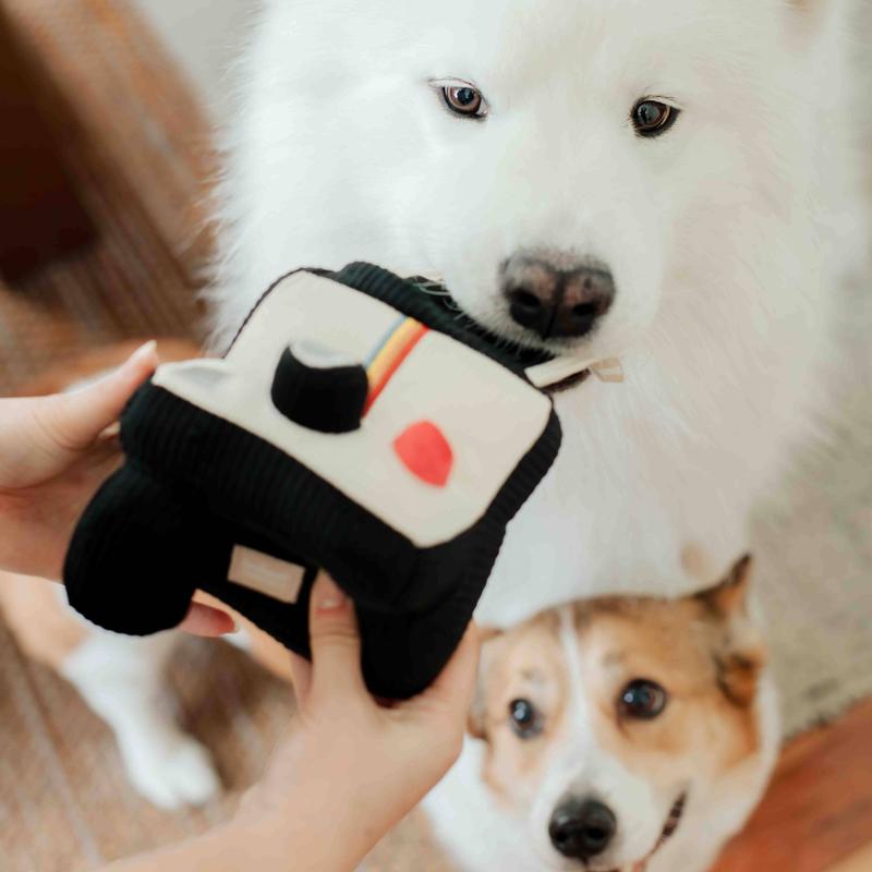 Instant Camera Enrichment Dog Toy