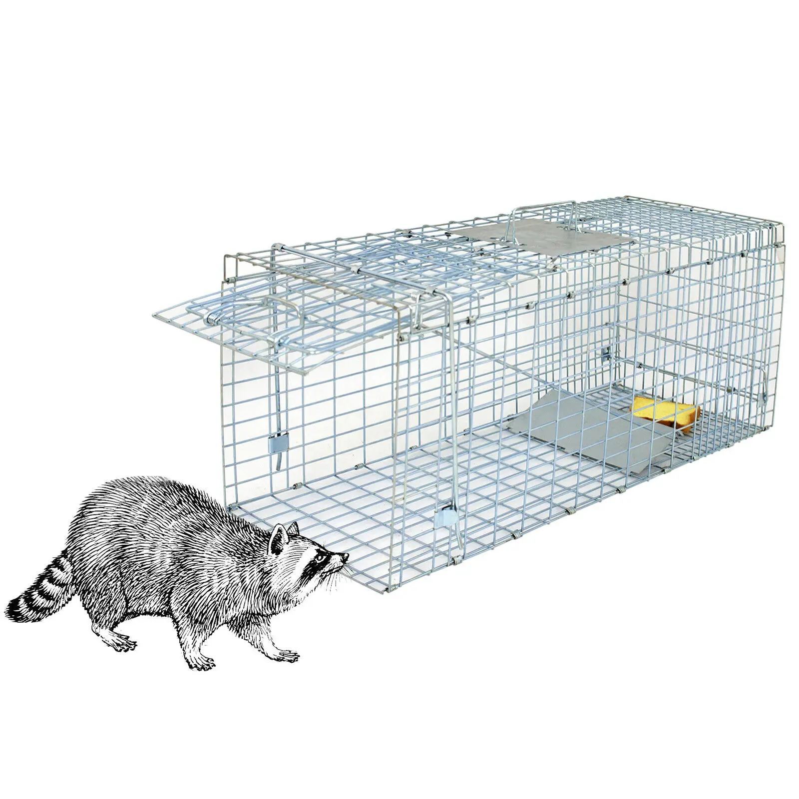 Humane Live Animal Trap Cage - 32"x12.5"x12" Heavy-Duty Metal Cage with Handle Guards, Separate Release Door, Smoothed Edges for Raccoons, Skunks Containment
