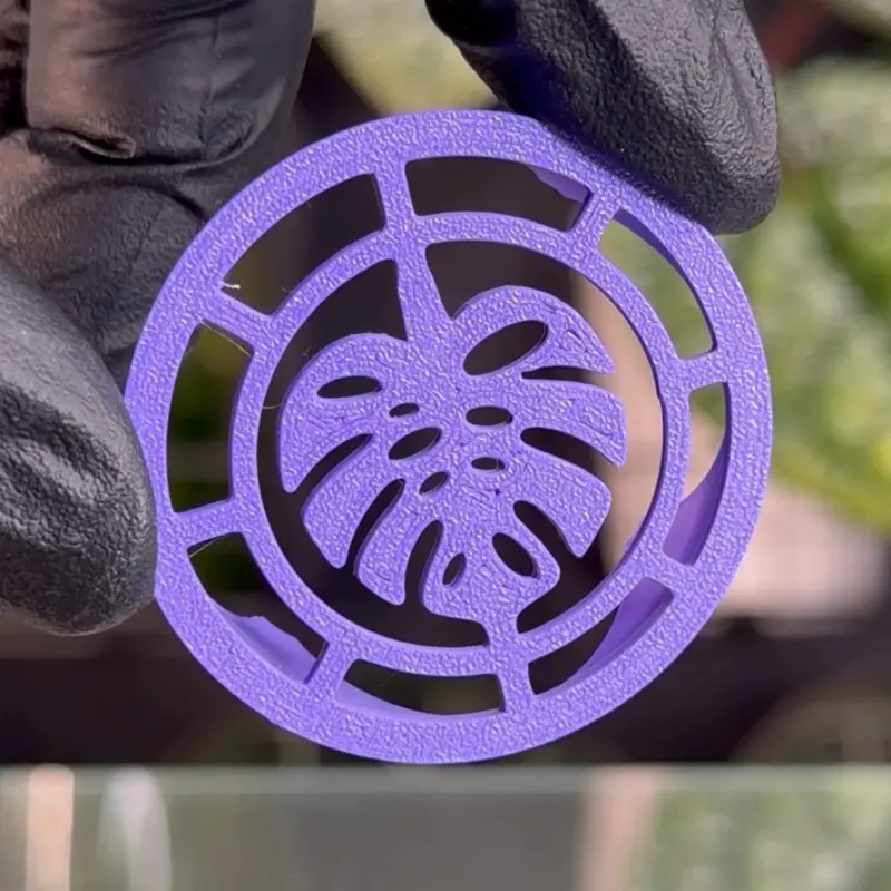 Corm Risers - Purple Monstera - Propagation Disks