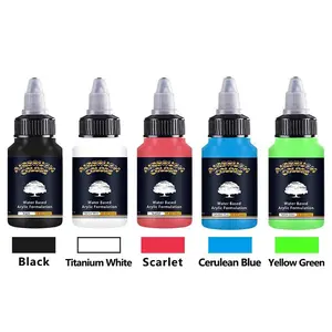 Airbrush Acrylic Paint 1/3/5*30ml /Bottle 24 Colors Waterproof