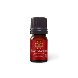 Rose Absolute Essential Oil for Therapeutic Aromatherapy and Wellness Solution
