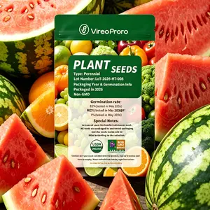 （ZS#ZR）Watermelon Seeds for Home Garden – Sweet & Juicy Fruit, Easy to Grow, Heirloom Variety, Non-GMO, Outdoor & Indoor Planting