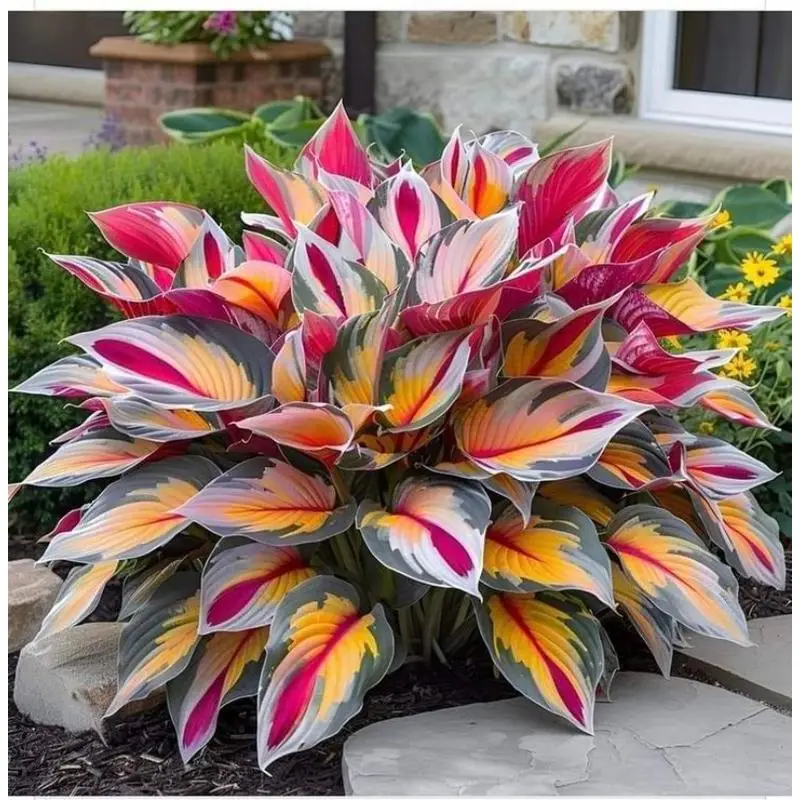 800Pcs Seeds for Home Garden – Create a Peaceful Oasis with Beautiful Leaf Patterns and Natural Green Tones