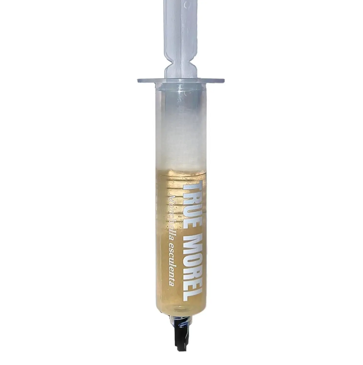 True Morel (Morchella esculenta) Liquid Culture 20mL | Spawn Mycology