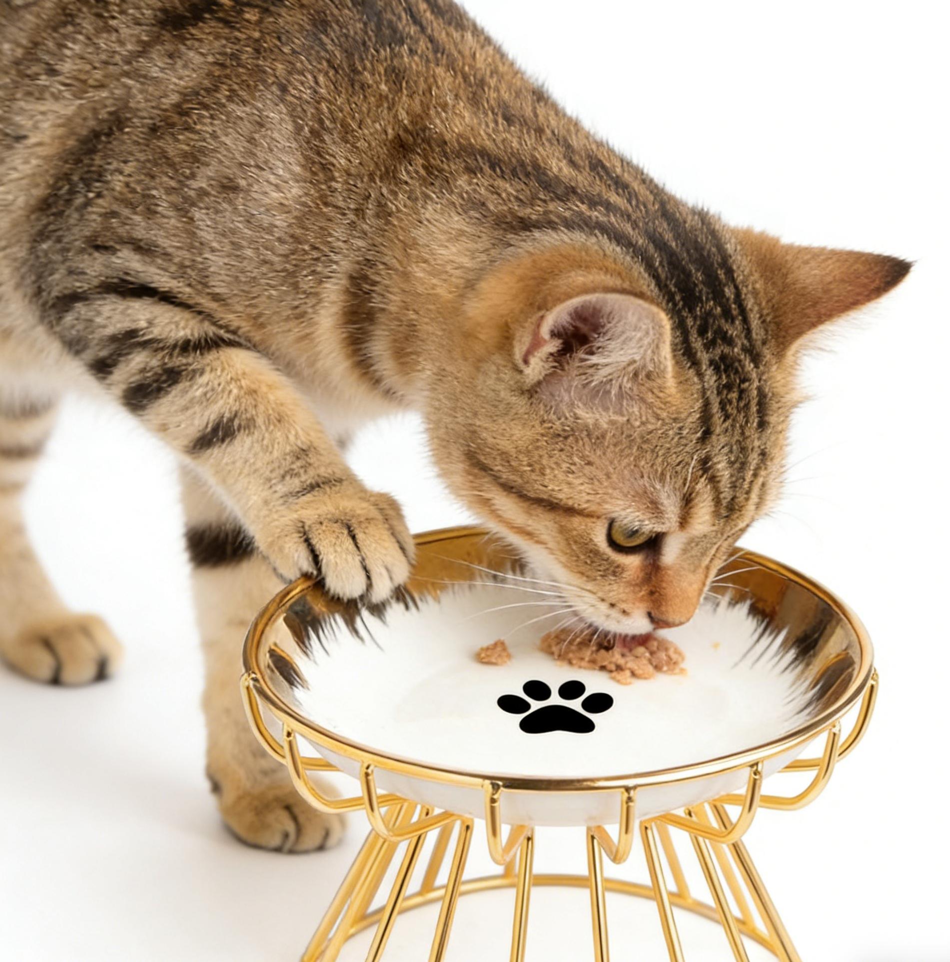 Elevated Cat Bowl,  Raised Ceramic Cat Dish , Whisker Friendly Pet Water or Food Plate Feeding Station for Indoor Cats, Kittens