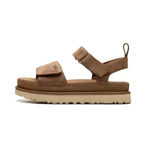 Goldenstar "CHESTNUT" 1136783