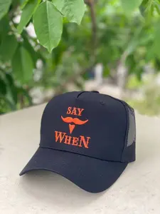 Premium Curved Bill Cap – Refined Embroidery Feature, Casual Comfort, Versatile Wardrobe Additi