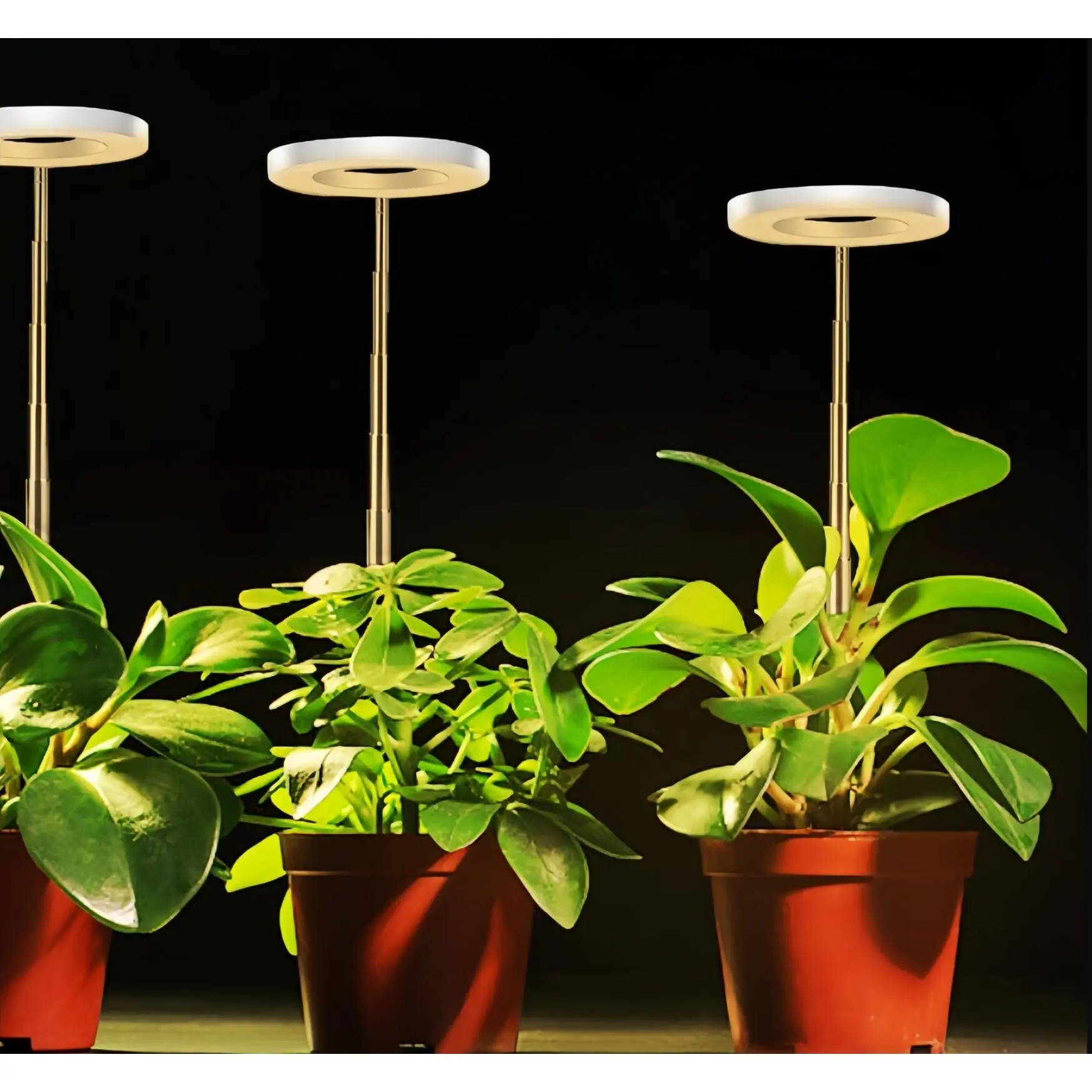 LED Full Spectrum Grow Lamp, High Efficiency Plant Light with Timer Adjustable Brightness