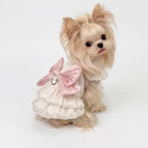 Pink and White Ruffle Dress for Pets (Bow not included)