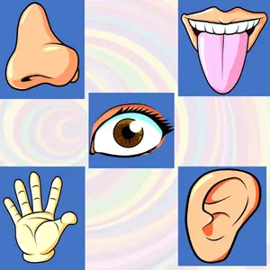 I Know My 5 Senses Placemats for Kids by Tableware - Coasters