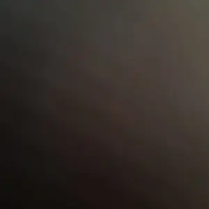 review image 5