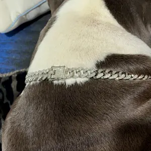 Rhinestone Dog Chain Necklace with Secure Buckle, 1 Count Pet Styling Accessory for Small, Medium and Large Dogs
