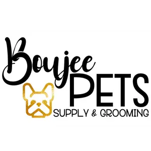 background preload poster image 