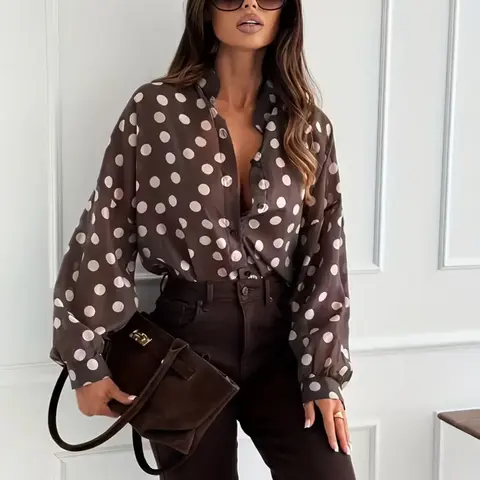 Women's Elegant & Polka Dot , Loose Fit Long Sleeve Shirt, Semi-Transparent Stand Collar, All Seasons