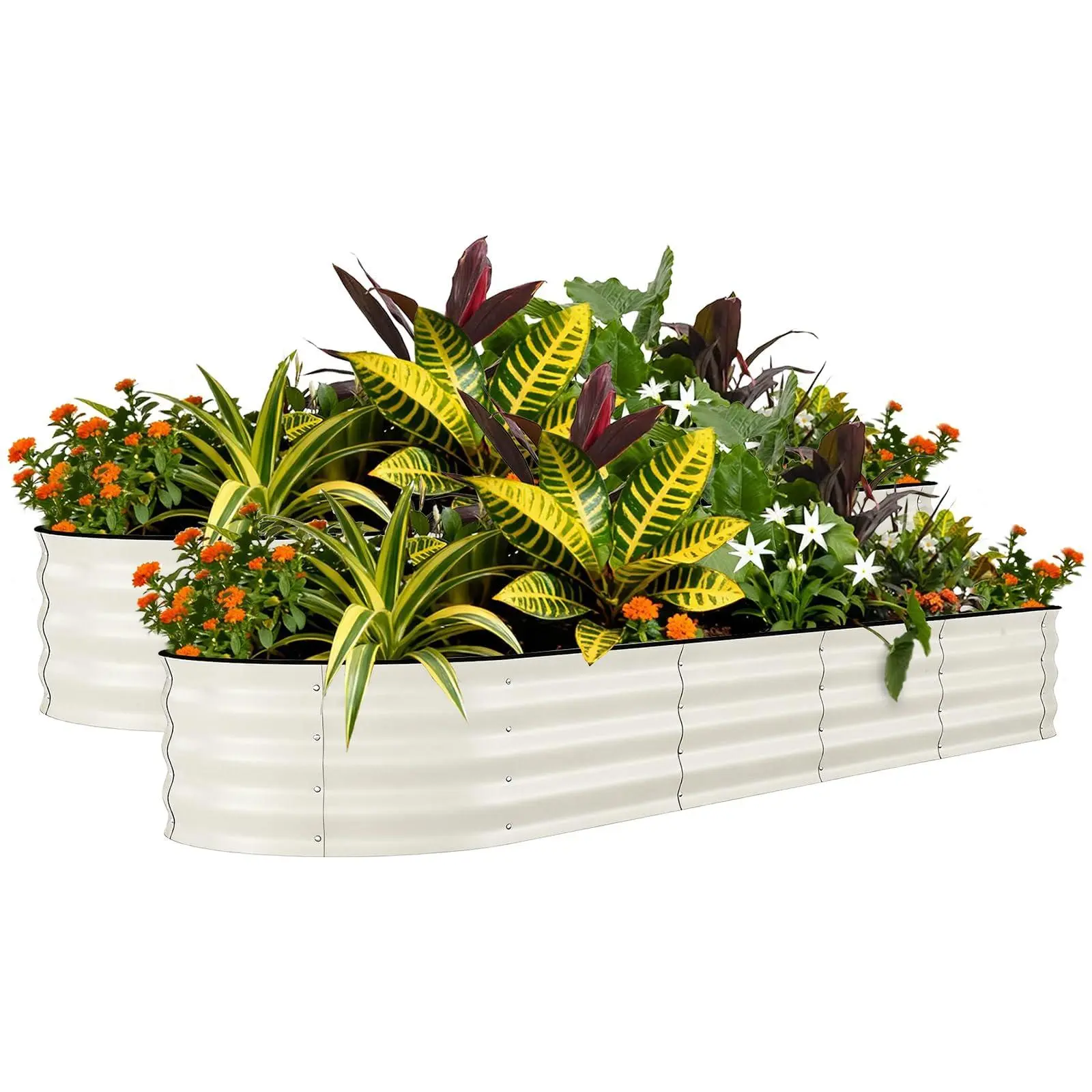 8x2x1.5FT Galvanized Raised Garden Bed, 2 Pcs 18" Tall Deep Root Metal Planter Boxes, Rust-Resistant Flower Boxes Outdoor Kit for Plants Vegetables, Flowers, Herbs, Fruits, Rust Resistant, Beige