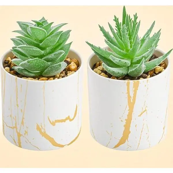 2-Pack Mini Artificial Succulents in Pots - Low-Maintenance Home Decor Ornaments for Office Desk, Kitchen Shelf - Realistic Lifelike Greenery Room Decorations with Faux Fruit Plastic Accents