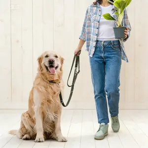 Retractable Magnetic Screen Mesh for Doors - Hands-Free Closure, Pet & Kid Friendly, Fits Size 36 x 80 Inches, Keeps Bugs Out Lets Breeze In, for Front Door Sliding Door, Easy Install Stripe Black