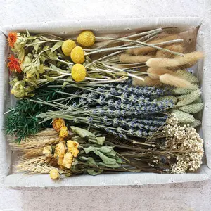 DIY Natural Dried Flower Suit, Bulk Dried Flower, Dried Flower with Stem, Handmade Dried Flower Idea, DIY Flower Suit, Dried Flowers Bouquet, Table Center Mini Dried Flower (Brown)