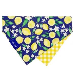 Lemons Dog Collar Bandana, Reversible and Two-Tone