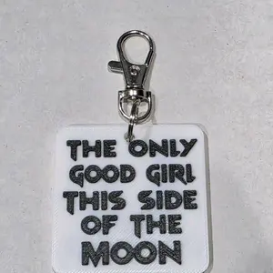 Provider Keychain - Stylish Keyring with Silver Tone Hook and Black Lettering - Perfect Gift for Loved Ones Steelchain