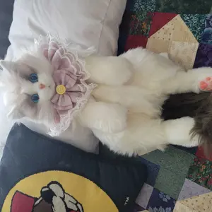 Product Review of 【TikTokShopBacktoSchool】Chongker Stylish Daypack Plush Cat Backpack - Realistic Stuffed Animal Fashion Accessory & Unique Gift for Cat Lovers - 1 Set Gift Wrap from ** B**m **